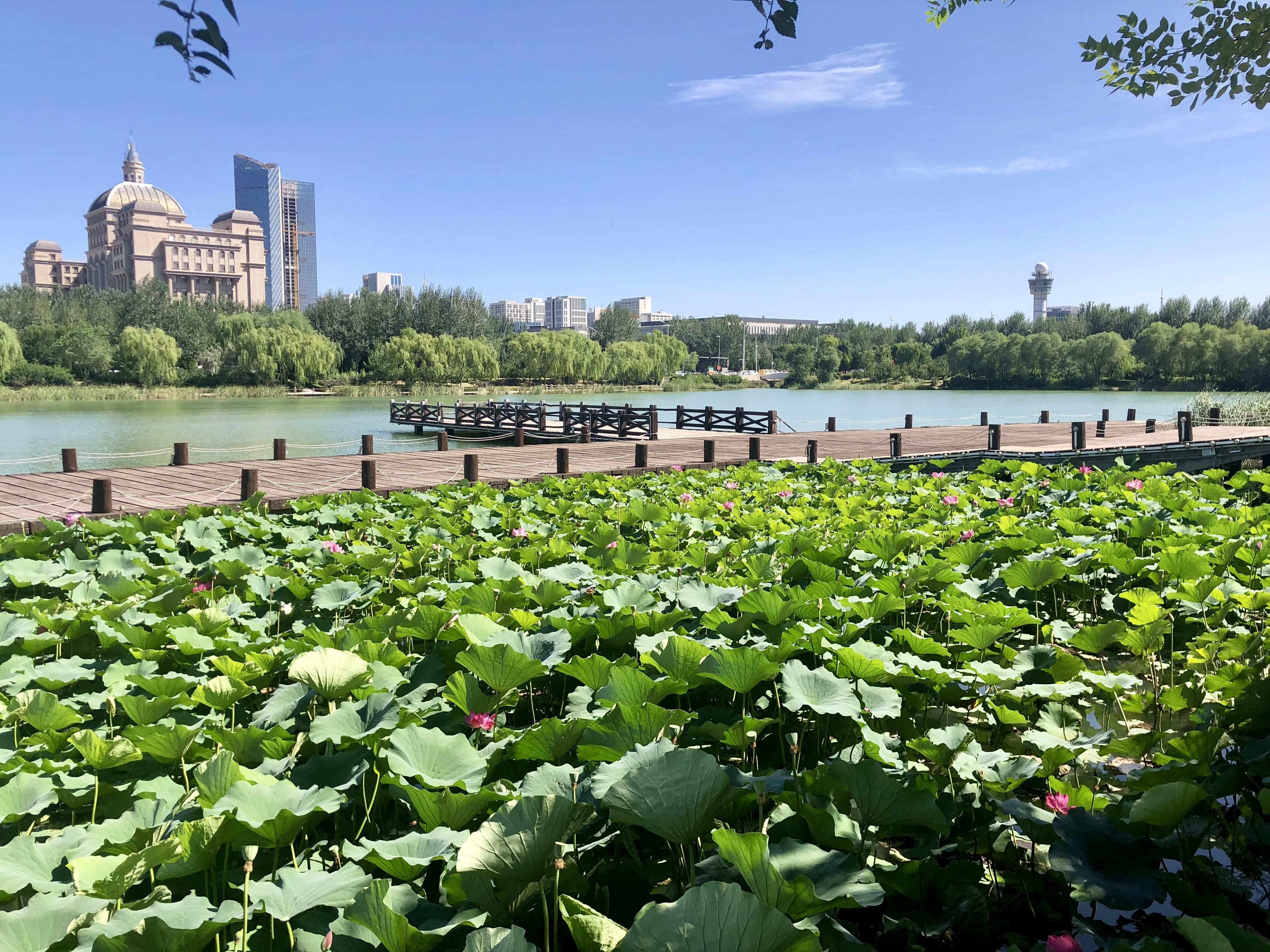 IMG_8351(20180906-144041).jpg