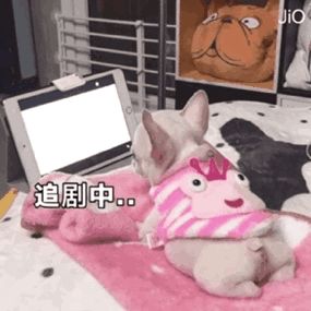 面粉也能变炸弹？天天宅家包饺子的你这些需注意
