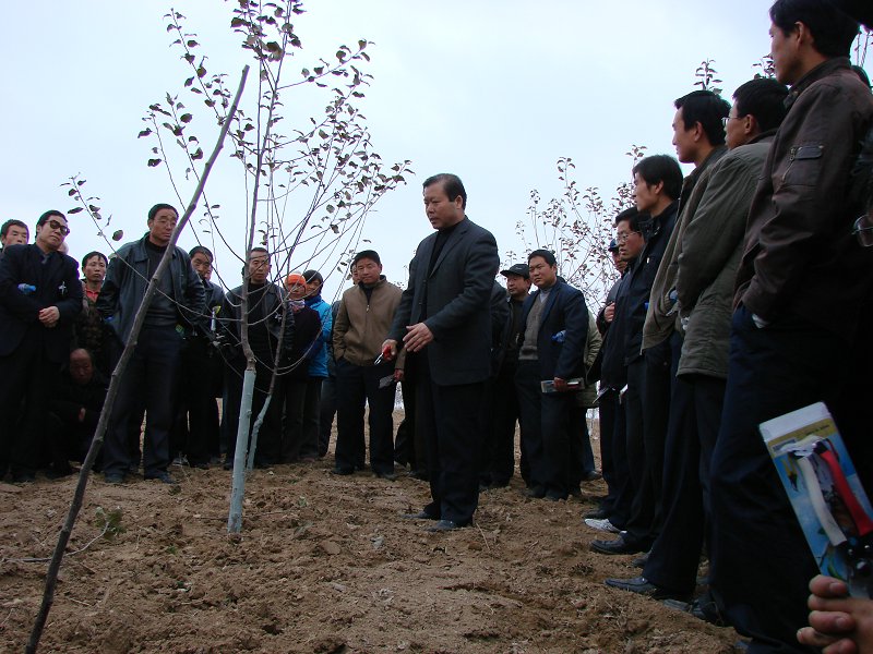 2011年在丰台镇现场向果农讲解果树修剪技术.JPG